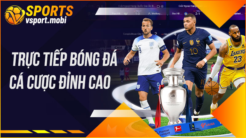 Trải nghiệm thể thao đỉnh cao tại nhà cái Vsport